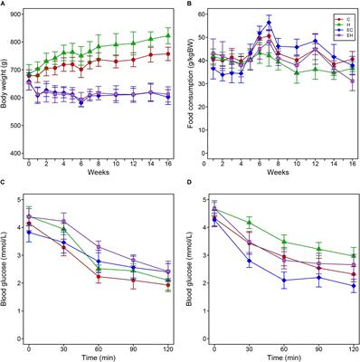 Endurance Training Counteracts the High-Fat Diet-Induced Profiling Changes of ω-3 Polyunsaturated Fatty Acids in Skeletal Muscle of Middle-Aged Rats